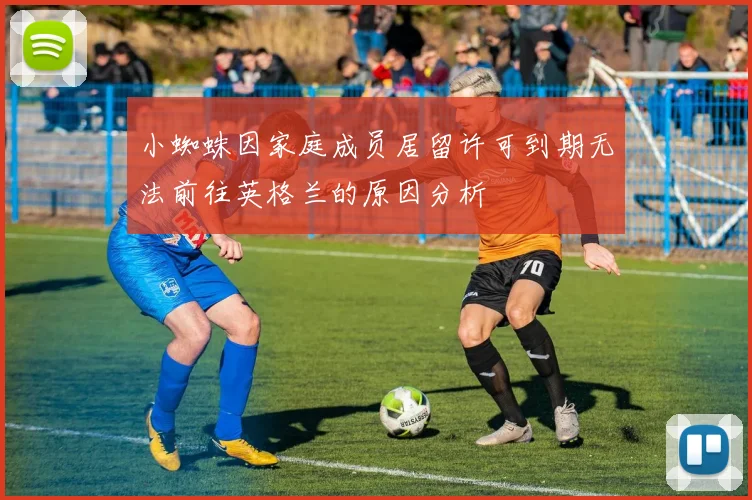 小蜘蛛因家庭成员居留许可到期无法前往英格兰的原因分析